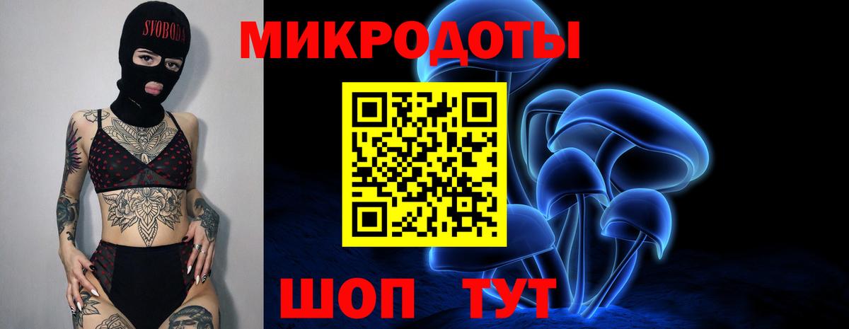 Галлюциногенные грибы Cubensis  Вход с VPN  наркотики  Псилоцибиновые грибы Psilocybine cubensis  Добрянка 
